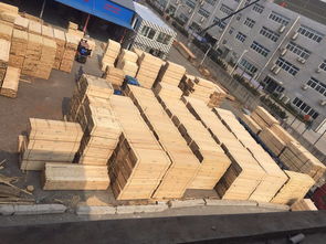 上海建筑工地木方销售 木材加工厂